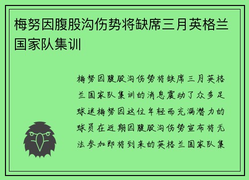 梅努因腹股沟伤势将缺席三月英格兰国家队集训